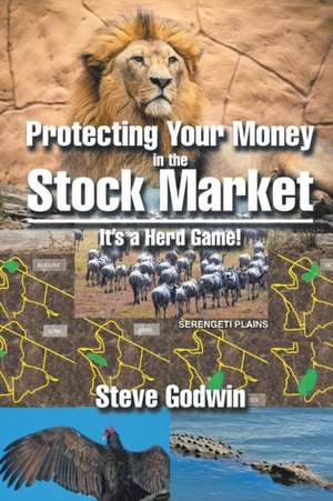 Protecting Your Money in the Stock Market de Steve Godwin