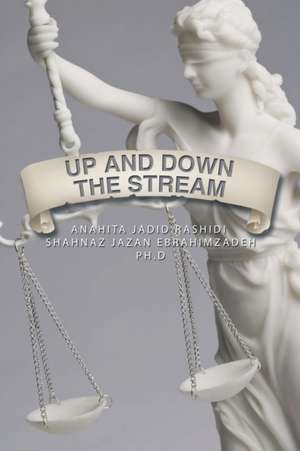 Up and Down the Stream de Anahita Rashidi