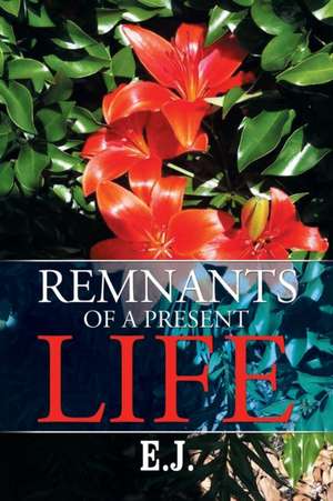 Remnants of a Present Life de E. J.