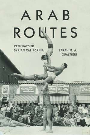 Arab Routes de Sarah M a Gualtieri