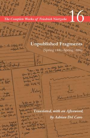 Unpublished Fragments (Spring 1885-Spring 1886) de Friedrich Nietzsche