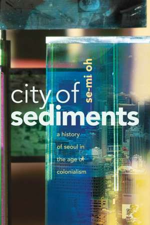 City of Sediments – A History of Seoul in the Age of Colonialism de Se–mi Oh