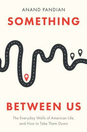 Something Between Us de Anand Pandian