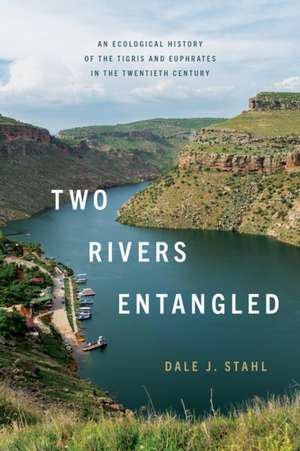 Two Rivers Entangled de Dale J. Stahl