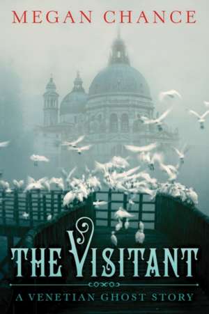 The Visitant de Megan Chance