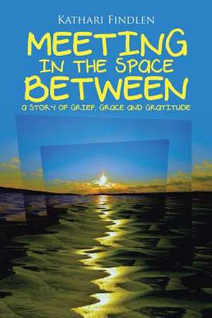 Meeting in the Space Between: A Story of Grief, Grace and Gratitude de Kathari Findlen