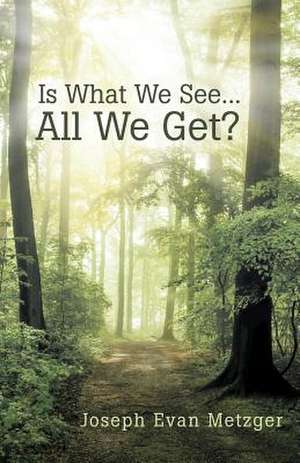 Is What We See... All We Get? de Joseph Evan Metzger