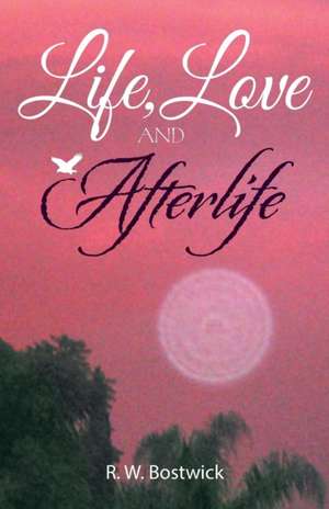 Life, Love and Afterlife de R. W. Bostwick