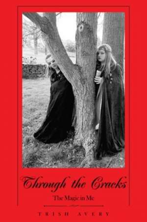 Through the Cracks de Trish Avery
