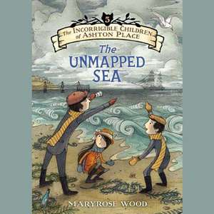 The Unmapped Sea de Maryrose Wood