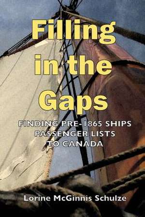 Filling in the Gaps de Lorine McGinnis Schulze