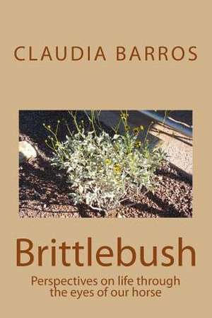 Brittlebush de Claudia Barros