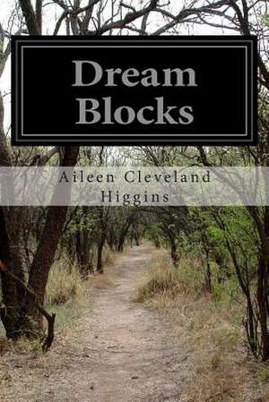 Dream Blocks de Aileen Cleveland Higgins