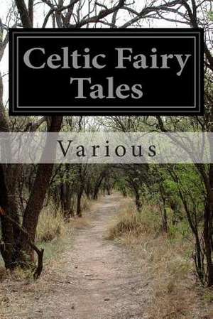 Celtic Fairy Tales de Various