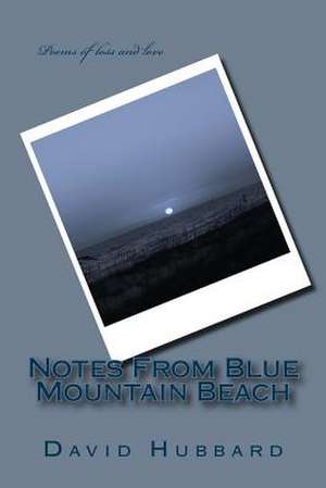 Notes from Blue Mountain Beach de David Hubbard