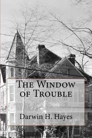 The Window of Trouble de MR Darwin H. Hayes