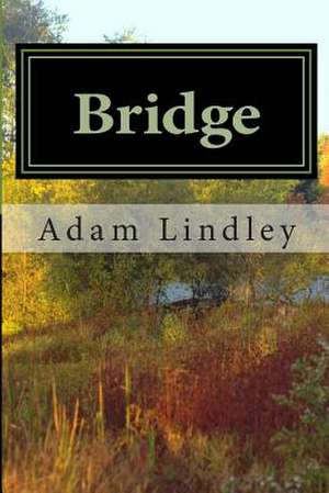 Bridge de Adam M. Lindley