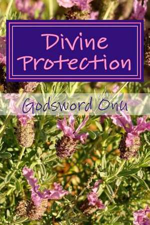 Divine Protection de Onu, Apst Godsword Godswill