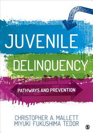 Juvenile Delinquency: Pathways and Prevention de Christopher A. Mallett