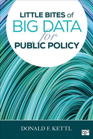 Little Bites of Big Data for Public Policy de Donald F. Kettl