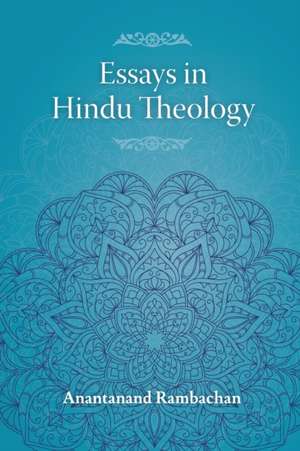 Essays in Hindu Theology de Anantanand Rambachan