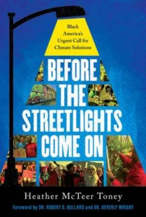 Before the Streetlights Come on de Heather McTeer Toney