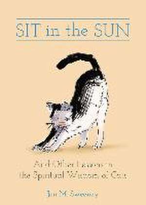 Sit in the Sun de Jon M. Sweeney