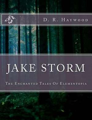 Jake Storm de D. R. Haywood