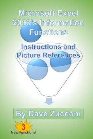 Microsoft Excel 2013's Information Functions de Dave Zucconi