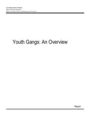 Youth Gangs de U. S. Department Of Justice