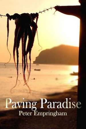 Paving Paradise de Peter Empringham