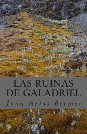 Las Ruinas de Galadriel de Juan Arias Bermeo