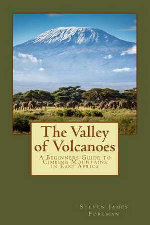 The Valley of Volcanoes de MR Steven James Foreman Frgs