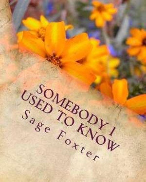 Somebody I Used to Know de Sage Foxter