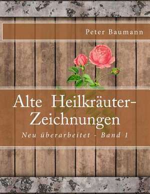 Alte Heilkrauter-Zeichnungen de Peter Baumann