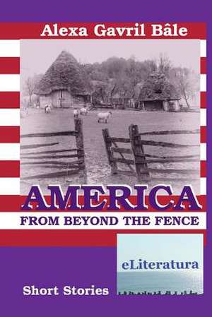 America from Beyond the Fence de Alexa Gavril Bale