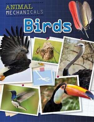 Birds de Tom Jackson