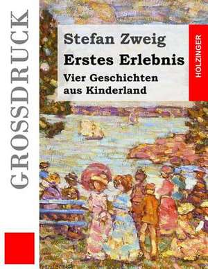 Erstes Erlebnis (Grossdruck) de Stefan Zweig