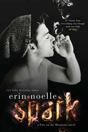 Spark de Erin Noelle