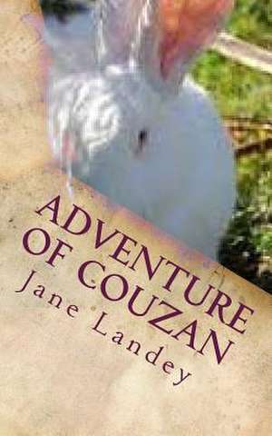 Adventure of Couzan de Jane Landey