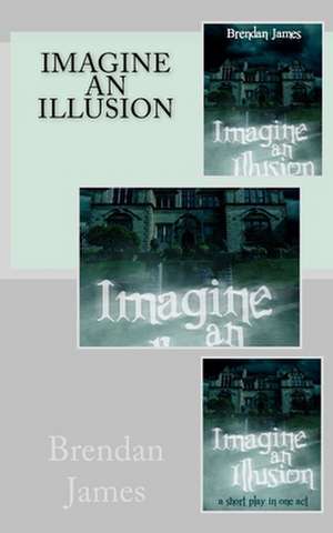 Imagine an Illusion de Brendan James