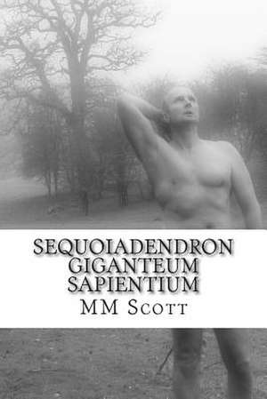 Sequoiadendron Giganteum Sapientium de MM Scott