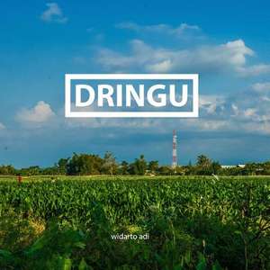 Dringu, an Homage de Widarto Adi