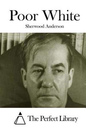 Poor White de Sherwood Anderson