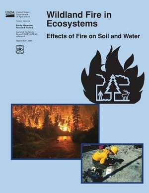 Wildland Fire in Ecosystems de United States Department of Agriculture