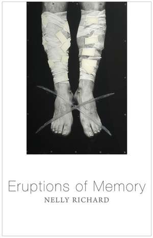 Eruptions of Memory de Nelly Richard