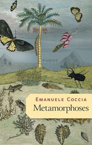 Metamorphoses de E Coccia