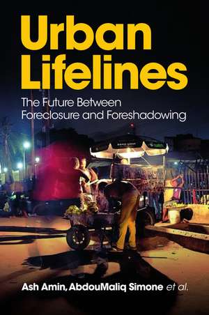 Urban Lifelines de Abdoumaliq Simone