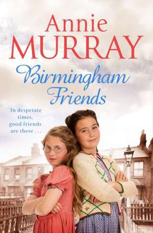 Birmingham Friends de Annie Murray