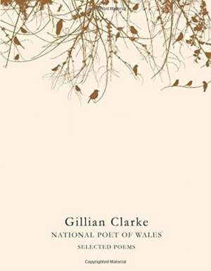 Selected Poems de Gillian Clarke